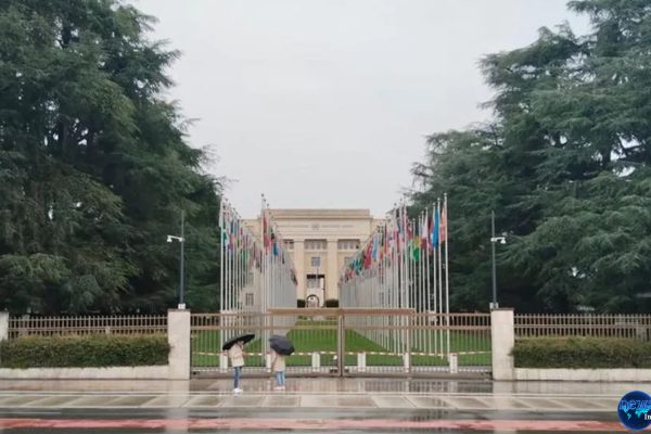 Kondisi Genting: Staf PBB Afghanistan Terancam Pembunuhan Kondisi Genting: Staf PBB Afghanistan Terancam Pembunuhan