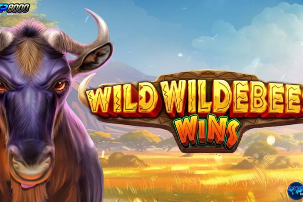 Sensasi Wild Wildebeest Wins Meningkat Berkat Rtp8000