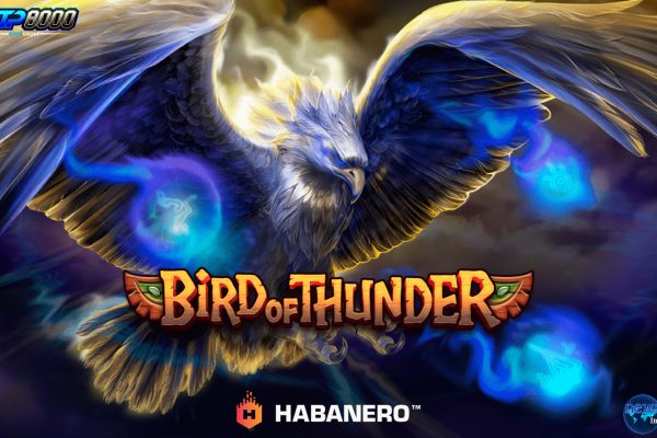 Bird Of Thunder Makin Tajam Jadi Mesin Cuan Terus di Rtp8000 Bird Of Thunder Makin Tajam Jadi Mesin Cuan Terus di Rtp8000