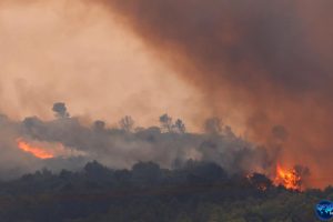 Kebakaran Hutan Besar di Selatan Prancis Bakar 11 Ribu Hektare