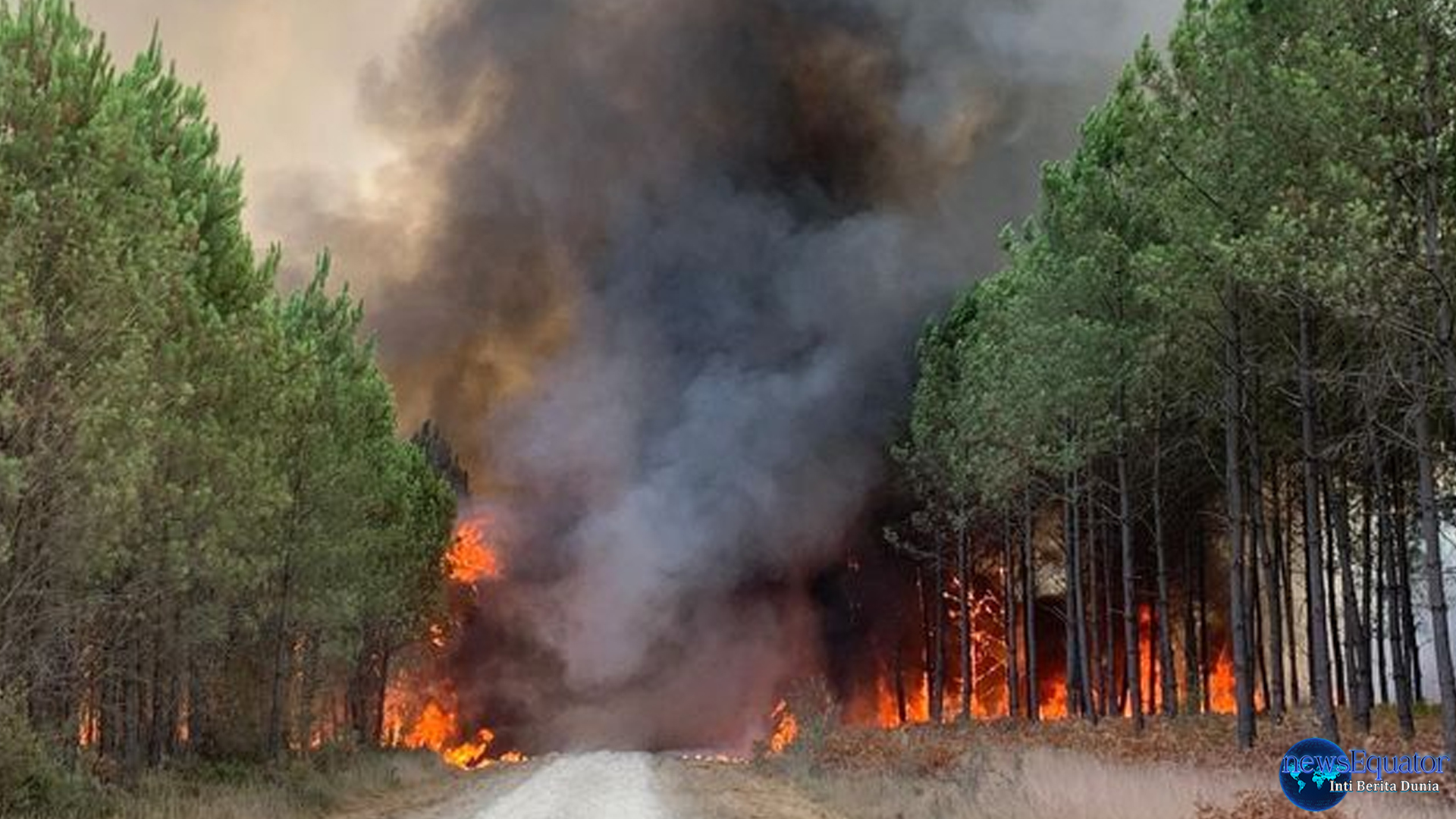 Kebakaran Hutan Besar di Selatan Prancis Bakar 11 Ribu Hektare