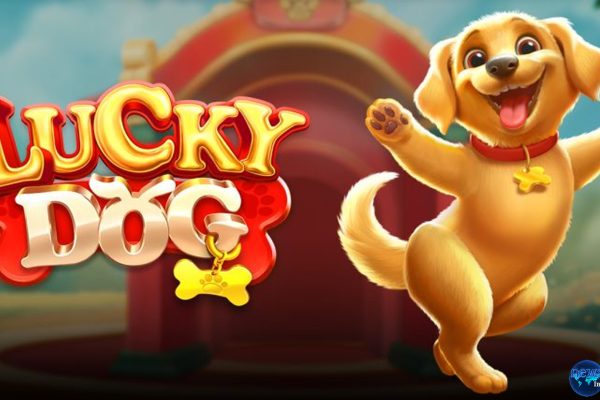 Rasakan 5 Kejutan Lucky Dog Yang Bisa Ditemukan Di Cnnslot