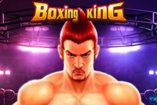 Rtp8000 dalam Boxing King Membuka Pintu Peluang Baru Slot