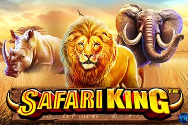 Rahasia Rtp8000 untuk Safari King Bikin Ini Semakin Diperhatikan