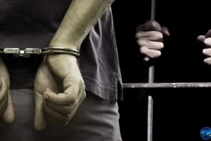 Drama 86 WNI di Kamboja: Kabur dari Kantor Penipuan Online