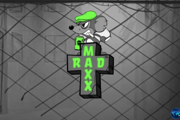 Situs Toto Ungkap 5 Vibe Kece Rad Maxx Next Level Banget