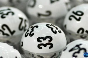 Mengapa 5 Pemain Togel Online Selalu Untung? Ini Jawabannya