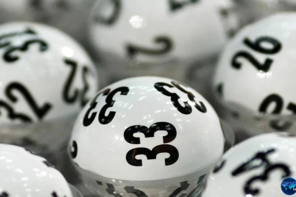 Mengapa 5 Pemain Togel Online Selalu Untung? Ini Jawabannya