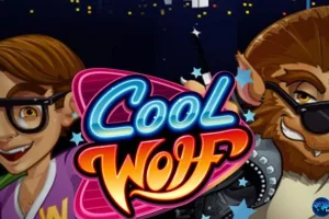 Mekanika Gerakan di Cool Wolf 4 Unsur yang Smooth Banget