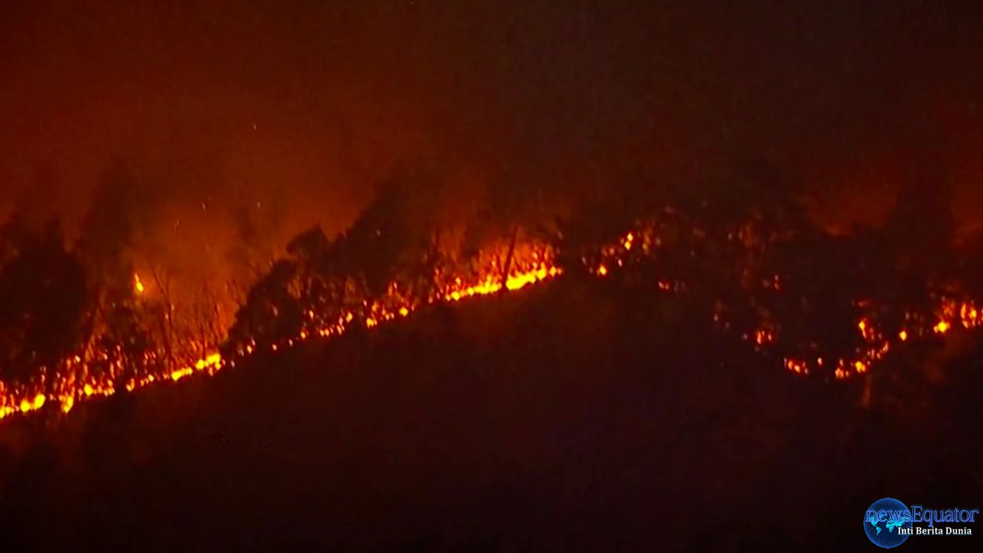 Kebakaran Hutan Yamanashi Jepang Serta 5 Informasi Penting dari Pemerintah