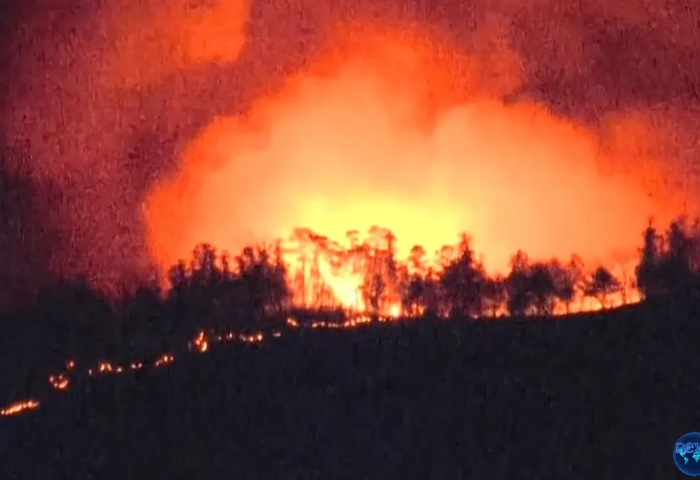 Kebakaran Hutan Yamanashi Jepang Serta 5 Informasi Penting dari Pemerintah