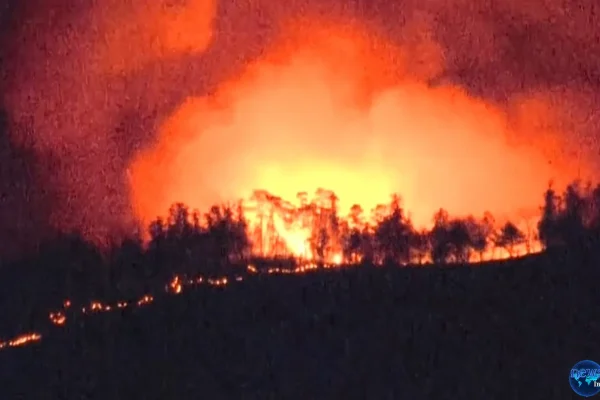 Kebakaran Hutan Yamanashi Jepang Serta 5 Informasi Penting dari Pemerintah