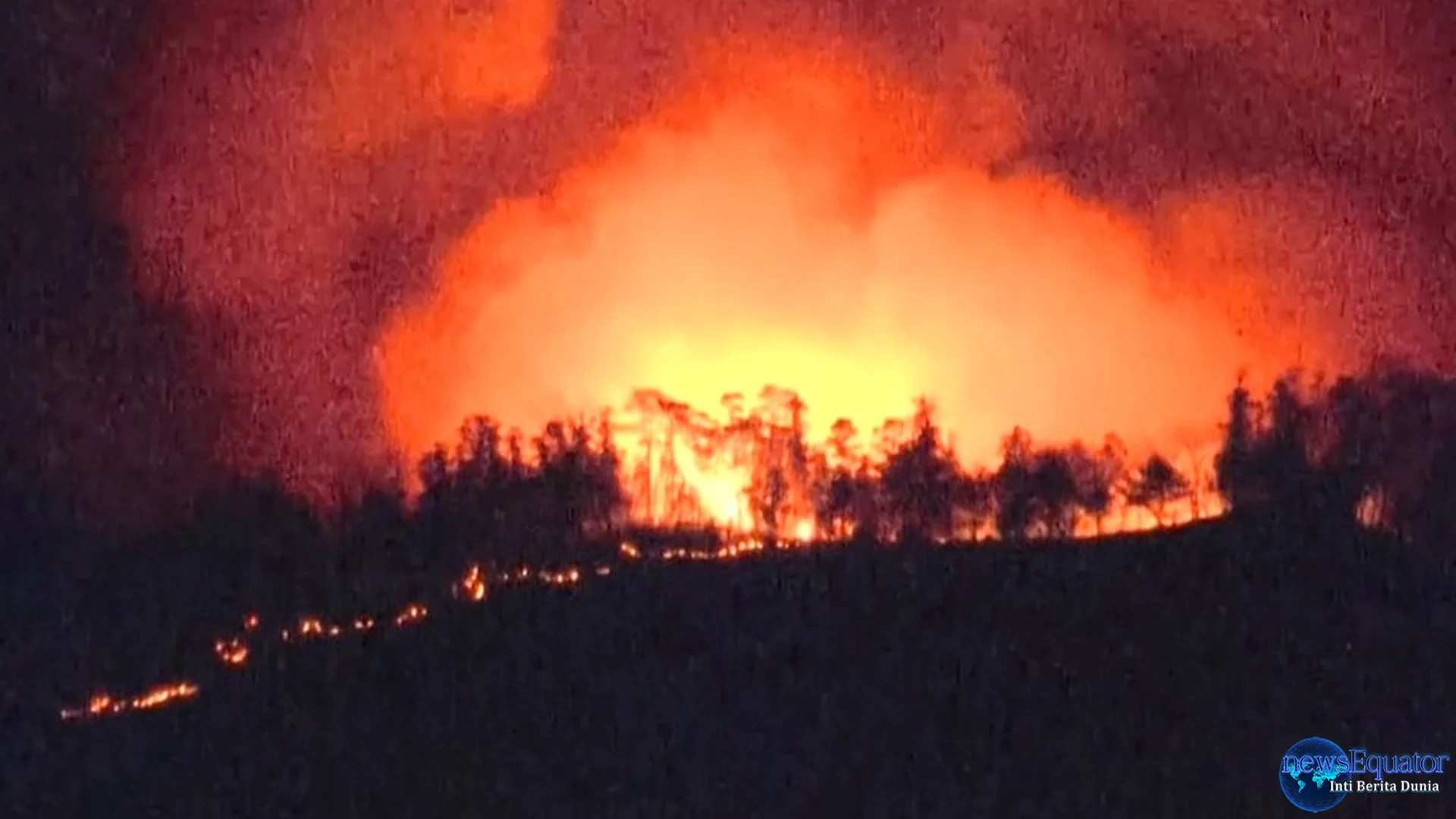 Kebakaran Hutan Yamanashi Jepang Serta 5 Informasi Penting dari Pemerintah