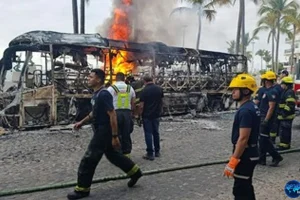 Kronologi Bos Kartel Bisa Menjelaskan 5 Dampak Besar Di Meksiko