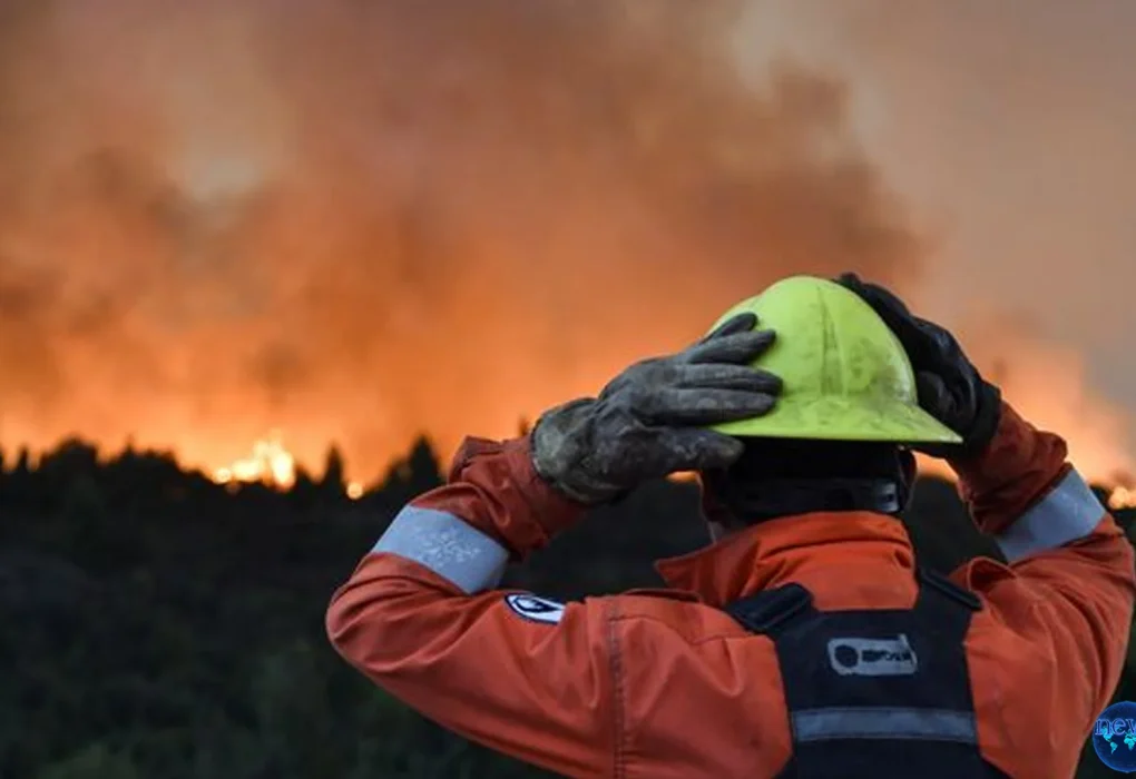 Saksi Dan Petugas Terlibat Dalam Kebakaran Hutan Hangus 145 Ribu Hektare