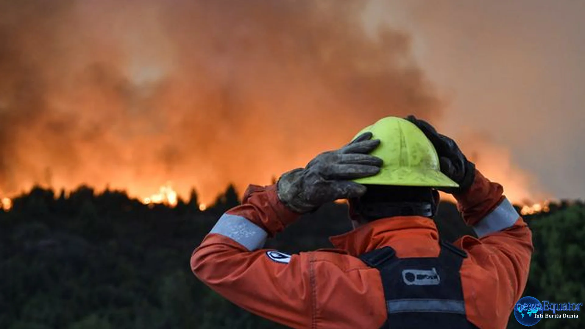 Saksi Dan Petugas Terlibat Dalam Kebakaran Hutan Hangus 145 Ribu Hektare