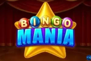 Gercep! 5 Hal Penting Soal Bingo Mania Sebelum Terlambat